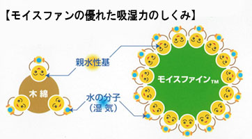 モイスファインの優れた吸湿力の仕組み。モイスファインが持つ親水性基は、木綿の5倍。